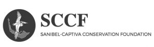 sccf-logo-1
