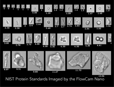 FlowCam ® : анализ частиц для биофармацевтических препаратов