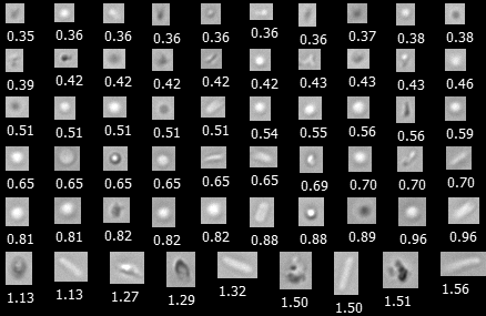 flowcam-nano-collage-mixture-of-protein-e-coli-silicone-oil-sucrose-aggregates-medium